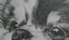 80x60cm-crayon-graphite-detail